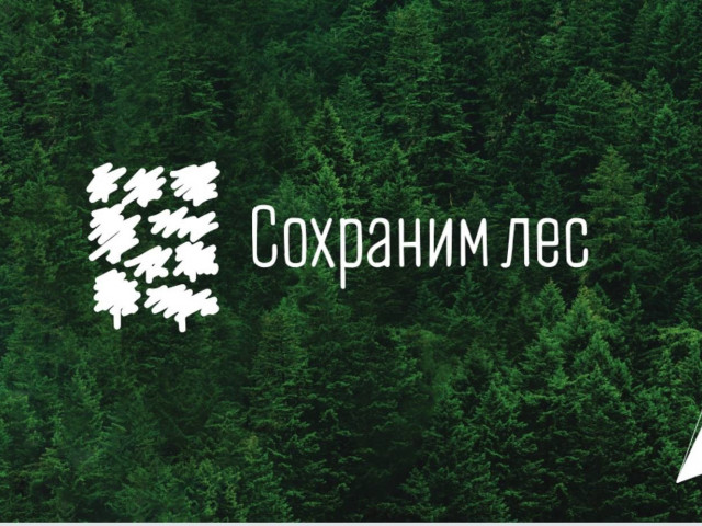 Региональный проект «Сохранение лесов» в рамках национального проекта «Экология»